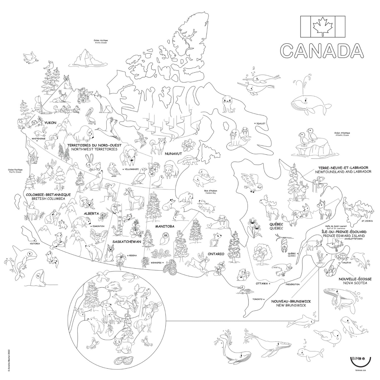 Carte du Canada - Nappe à colorier bilingue - (Anglais et Français)
